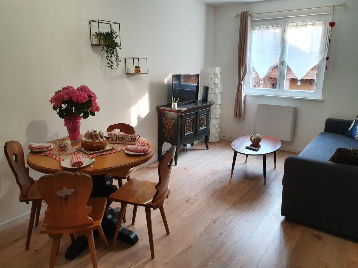 Le Passage Gite Cocooning A Colmar Centre Touristique エクステリア 写真